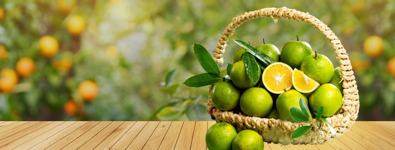 Vựa Trái Cây Việt Lượm