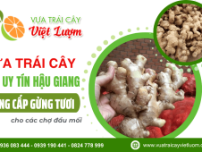 Vựa trái cây uy tín Hậu Giang cung cấp gừng tươi số lượng lớn cho chợ đầu mối